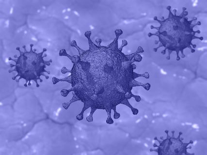 Fighting coronavirus with Alquernat Immuplus