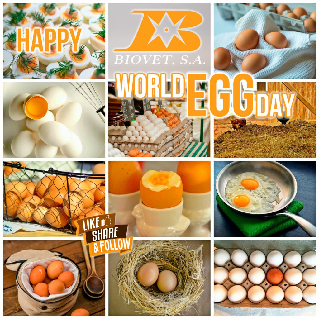 Biovet se suma a la celebración del día internacional del huevo