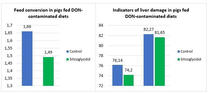 Silicoglycidol prevents the effects of deoxynivalenol