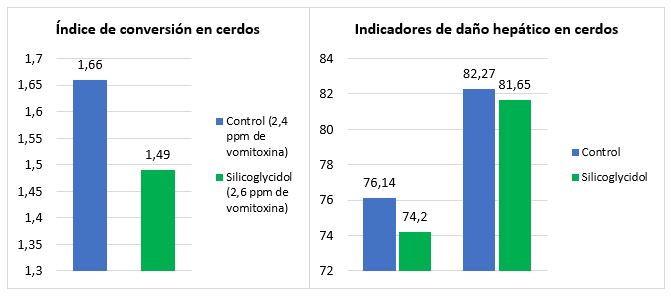El Silicoglycidol previene los efectos del deoxinivalenol, micotoxina muy prevalente este 2020