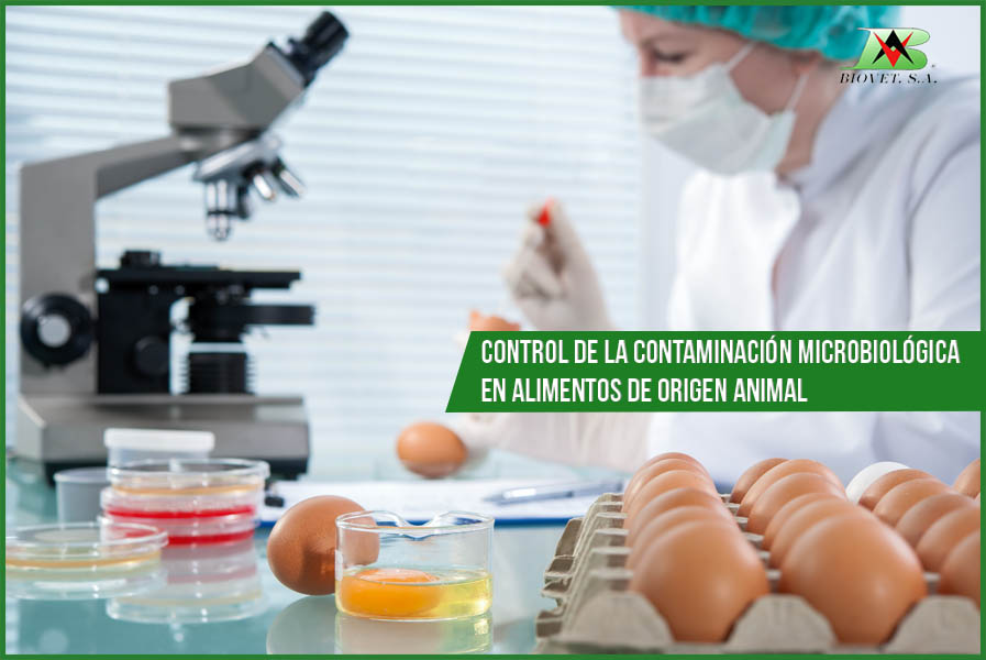 Alquermold natural para el control de la contaminación microbiológica en alimentos de origen animal