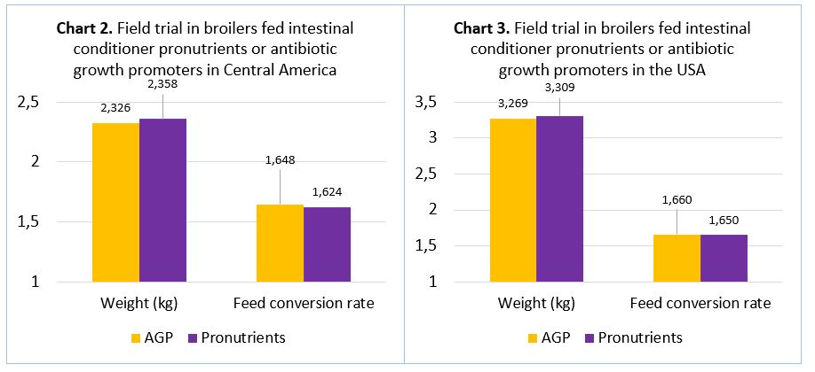 field trials in broilers fed with intestinal conditioner pronutrients