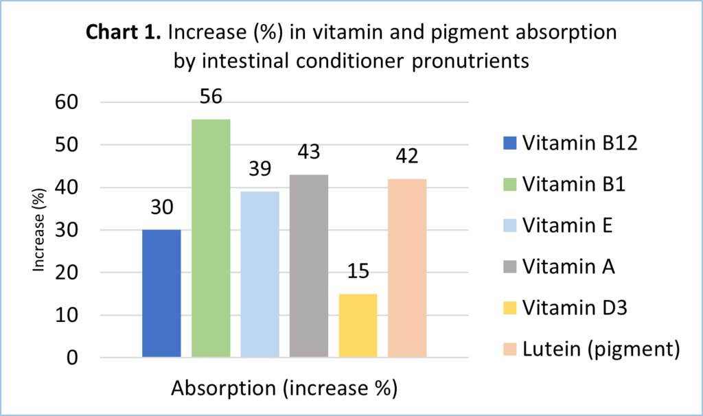 increase in vitamin absorption by intestinal conditioner pronutrients