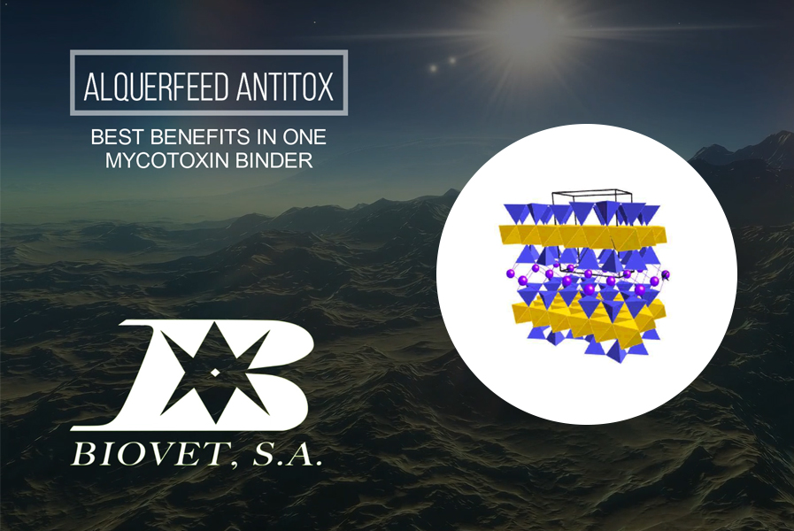 Alquerfeed Antitox, the best benefits in one mycotoxin binder