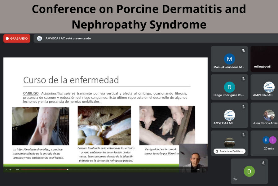 Conference on Porcine dermatitis and Nephropathy Dermatitis Syndrome 