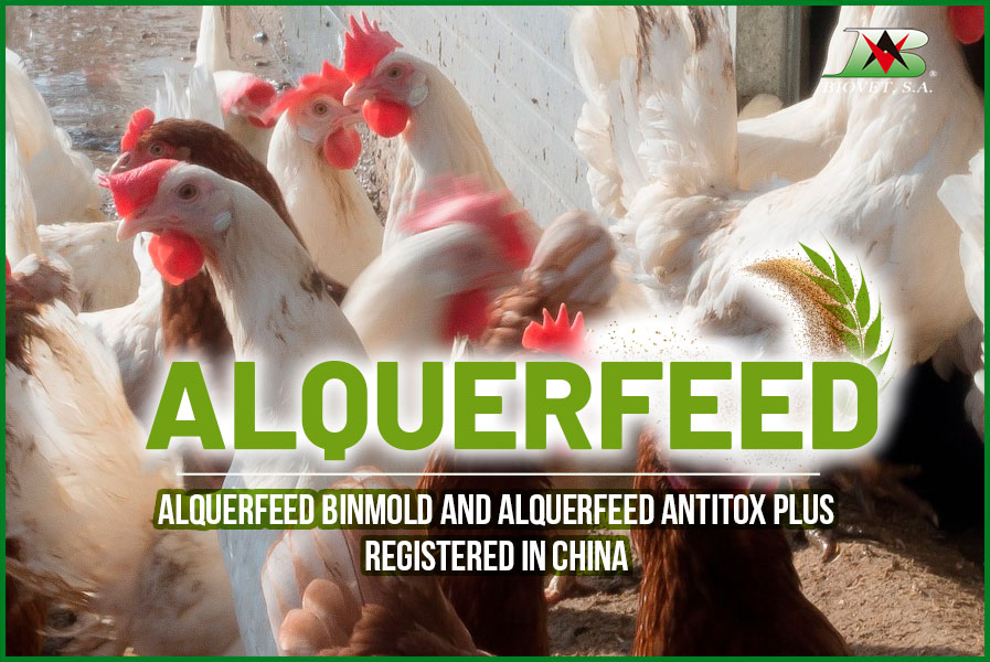 Alquerfeed Binmold and Alquerfeed Antitox Plus registered in China