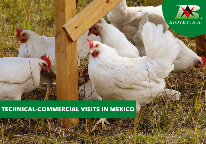 Technical-commercial visits in Mexico