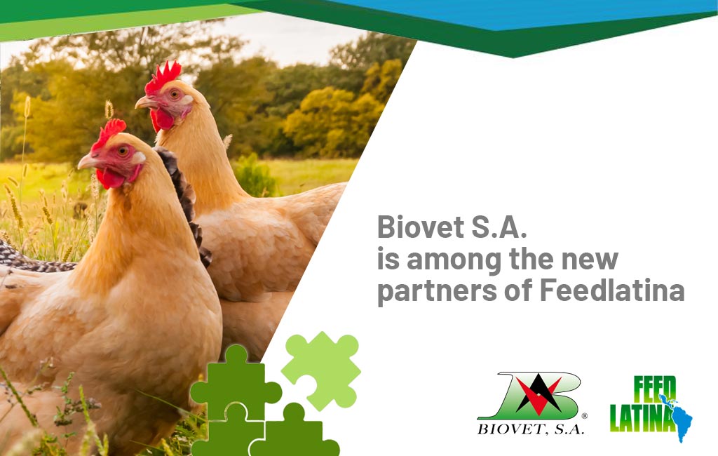 Biovet S.A. is among the new partners of Feedlatina 