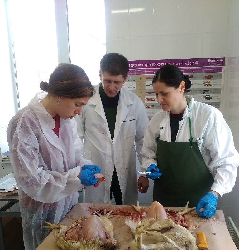 A technical and commercial team from Biovet visits Ukraine