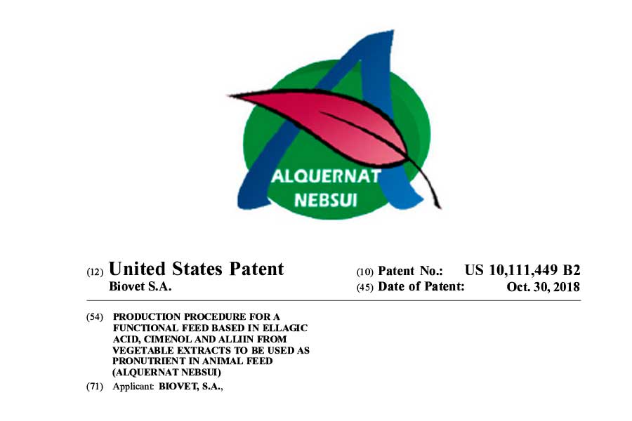 Alquernat Nebsui patent, granted in the USA