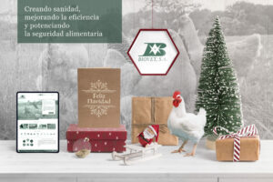 Happy Holidays and best wishes for the New Year!