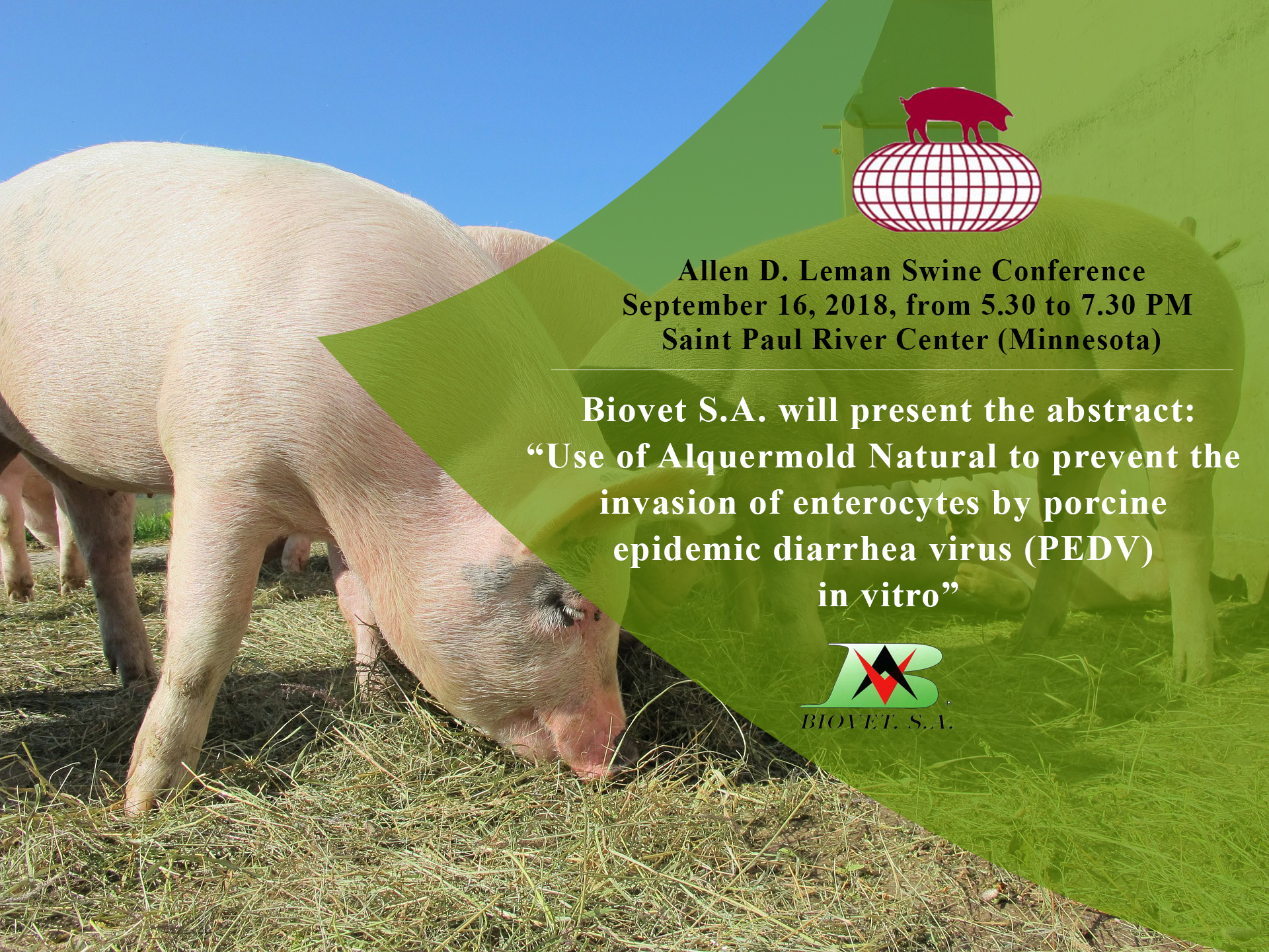 Biovet S.A. presentará un póster sobre un conservante natural en la Allen D. Leman Swine Conference (EE.UU.)