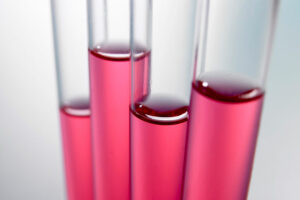 Efecto de Alquermold Natural (anillo cimenol) sobre Clostridium perfringens, in vitro