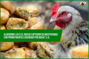 Alquermix LN is the new mycotoxin binder with pronutrients designed by Biovet S.A.
