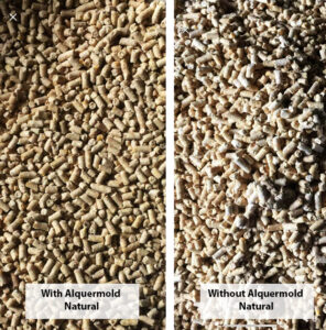 Alquermold Natural como alternativa consolidada a los ácidos orgánicos e inhibidores de hongos