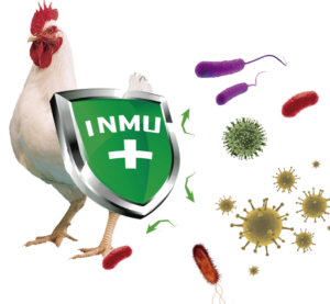 Biovet S.A. patents Alquernat Immuplus