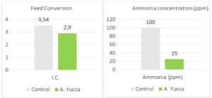 Mejora del bienestar y del desempeño en porcicultura gracias a Alquernat Yucca
