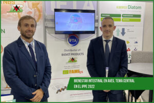 Bienestar intestinal en aves, tema central en el IPPE 2022