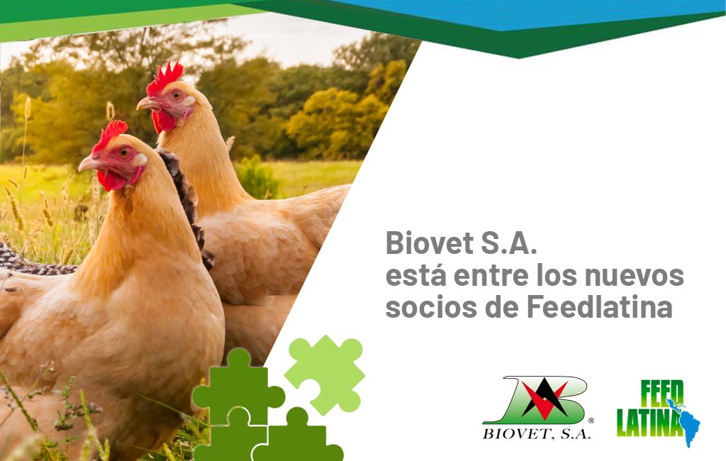 Biovet S.A. está entre los nuevos socios de Feedlatina 