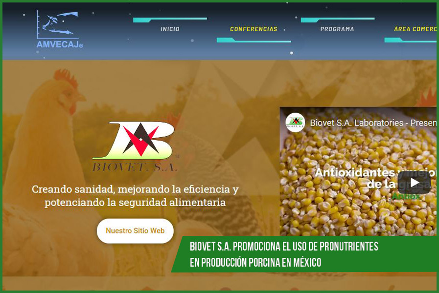 Biovet S.A. promotes the use of pronutrients in pig production in Mexico