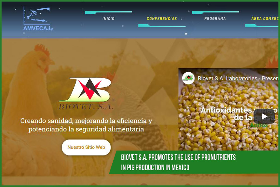 Biovet S.A. promotes the use of pronutrients in pig production in Mexico