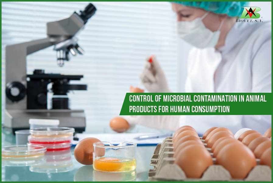 Alquermold Natural for the control of microbial contamination in animal products for human consumption
