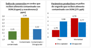 Alquerfeed Antitox, altamente eficaz frente a las micotoxinas más prevalentes en 2020