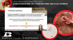 Alquerfeed Diatom y Global Vet’s Lab protagonizan el XXXVI Simposium Internacional de Biovet