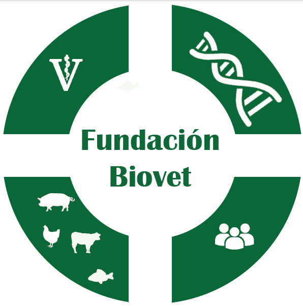 El Dr. Jaime Borrell presidirá la Fundación Vallbo