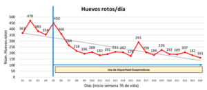 El estrés térmico en ponedoras: gama de productos Alquerfeed de Biovet
