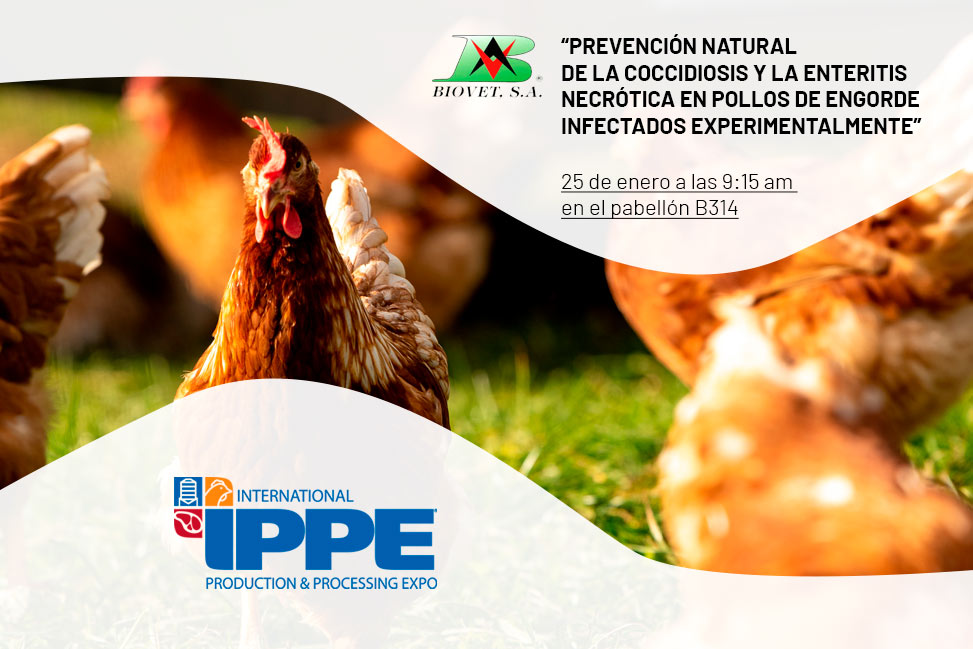 Biovet S.A. will participate in the IPPE 2022