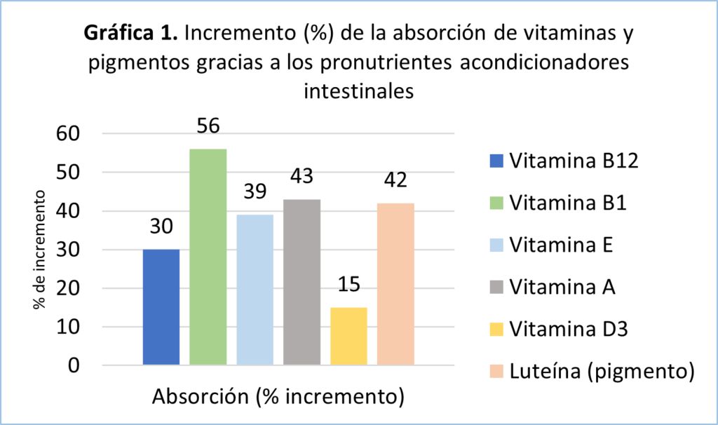 Incremento de la asborción de vitaminas gracias a los pronutrientes