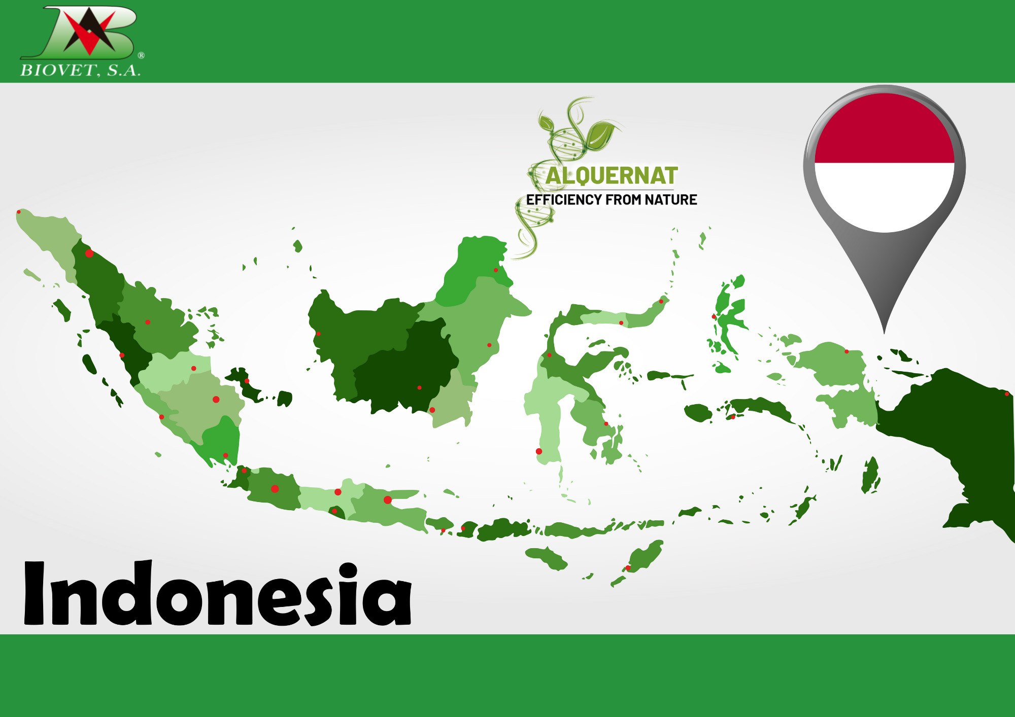 La marca Alquernat registrada en Indonesia
