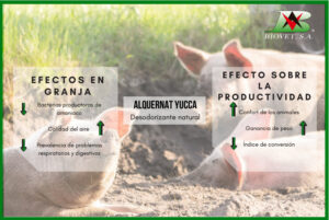 Reduction of environmental ammonia to improve productivity on farms