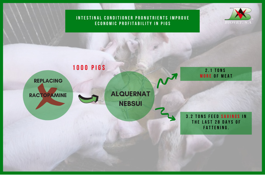 Intestinal conditioner pronutrients improve economic profitability in pigs