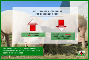 Intestinal conditioner pronutrients improve economic profitability in pigs