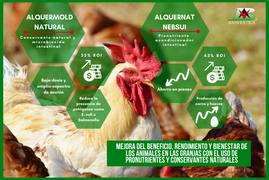 Mejora del beneficio, rendimiento y bienestar de los animales en las granjas con el uso de pronutrientes y conservantes naturales