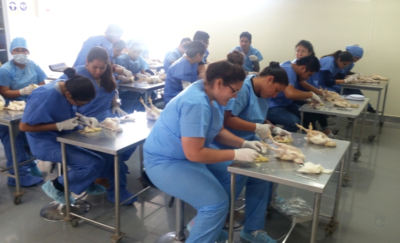 UCSUR and Biovet organize the II Poultry Course in Lima