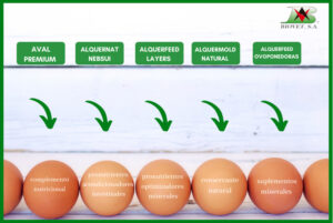 Línea OVUM: soluciones naturales para ponedoras
