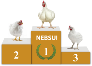 Uso de pronutrientes acondicionadores intestinales para la mejora de la absorción vitamínica de la dieta