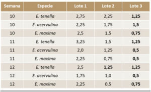 Eficacia A. Zycox contra la coccidiosis en comparación con los coccidiostatos químicos y con la vacuna
