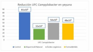 Cimenol ring, natural technology to control zoonosis caused by Campylobacter