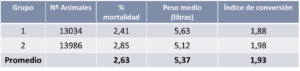 Estudio de la eficacia de pronutrientes optimizadores intestinales para controlar coccidiosis en broilers