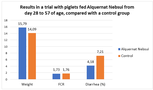 Results in a trial with piglets fed Alquernat Nebsui from day 28 to 57 of age, compared with a control group