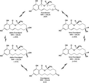 Eficiencia del Silicoglicidol, como captador de micotoxinas (zearalenona) en cerdas reproductoras