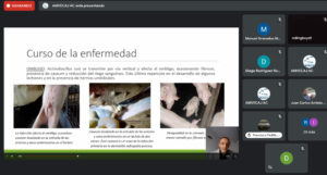 Conference on Porcine Dermatitis and Nephropathy Dermatitis Syndrome at AMVECAJ