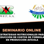Seminario online para los avicultores de Paraguay