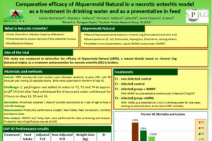 Eficacia comparada de Alquermold Natural en un modelo de enteritis necrótica