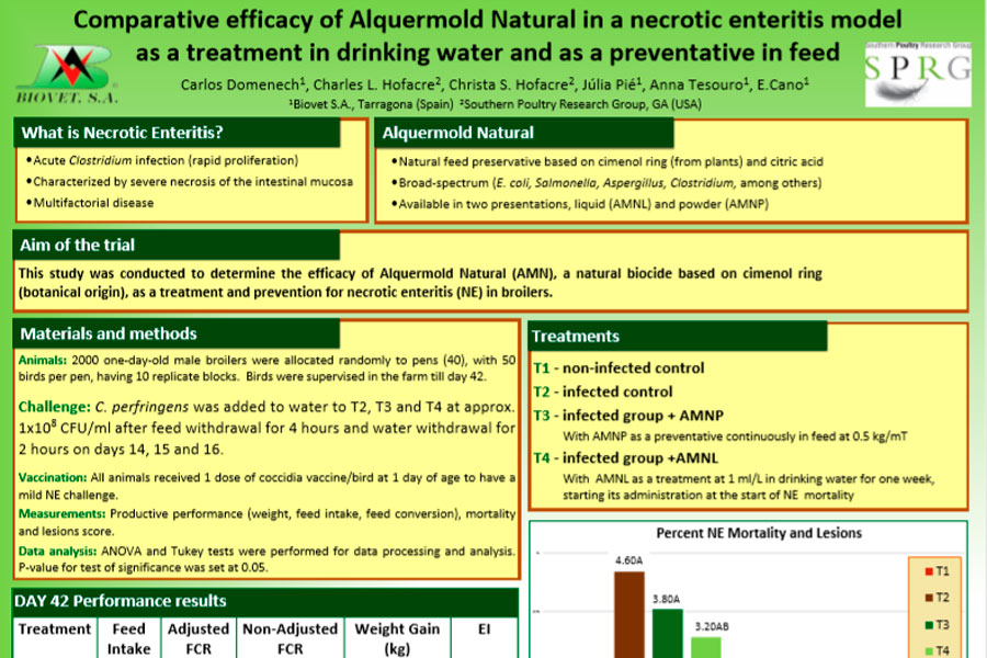 Compared efficacy of Alquermold Natural in a necrotic enteritis model