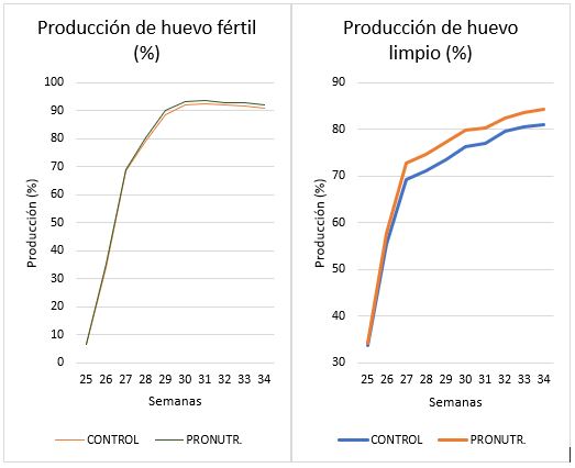 Porcentaje de producción de huevo fértil y huevo limpio